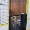 데이멍스 이미지