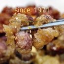 부산똥튀 이미지