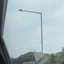 일팔일구 이미지