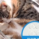 냥쿠아리움