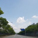 민애농장 | 남사화훼단지(예삐아울렛 포함) 답사 후기