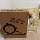 없음 | 독톡 강아지배변판 패드필요없음 후기, 강아지 발에 소변 안 묻는 배변판 사용기