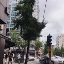 행정사 합동사무실 이미지