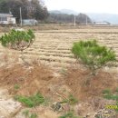 반송농장 이미지