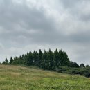 새한개량한우목장 | 충남 서산 한우목장 웰빙산책로🌿 엄마랑 여행 다녀왔어요! 주차, 소요시간, 개방구간 총정리