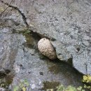 남산오리농장 이미지