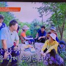 Ch B tv 이제 뭐하지. 숲해설가편 방송시간 이미지