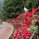 소금정공원 이미지