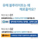 렌즈타운 신림점 이미지