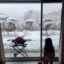 유주별장 이미지