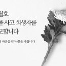 오늘의 핫이슈 2015. 6 : 11 이미지