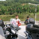 가진항 물회