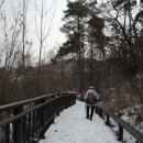 관악산 무장애숲길 이미지