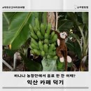 덕기농장 이미지