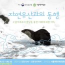두루청과 이미지