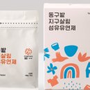 푸른세탁 이미지