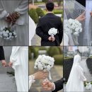 메리스냅 네이버블로그