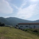 금와목장 이미지