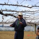 행수농장 이미지