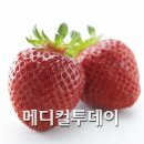 암 예방하기 위해선 고용량의 비타민D 섭취해야 이미지