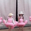써니캔디