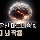 불면증, 우울증, 기억력, 인지력: 트레온산 마그네슘 이미지