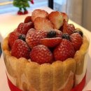 신동-117 이미지