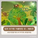 해피주 동물카페 원주점 | 원주 아기랑 가 볼 만한 곳 - 이색 동물 카페 해피주