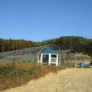 여강길(2코스 세물머리길) 이미지