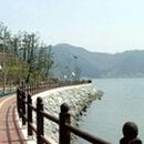양자강 티스토리