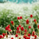 서울신학대학교 사회복지대학원 이미지