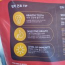 빙키토끼니 | 빙키티모시 토끼건초 후기