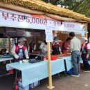 제31회 소백예술제 개막공연 | 2025 동래읍성역사축제 일정 공연 체험 먹거리 실시간 생생후기 ft. 주차