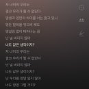 메이비부띠끄 - 전주시 완산구 전주객사2길 74-11 | 난 널 버리지 않아 너도 같은 생각이지?