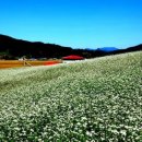 황토방민박 이미지