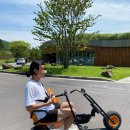 제주/호텔/리조트/호캉스펜캉스 스타빌 수영장 힐링 싹~ 석식 냠냠~ &amp; 연돈