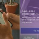 하나관광 이미지