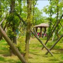 국립생태원 이미지