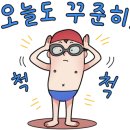 소사벌레포츠타운 평택실내수영장 이미지