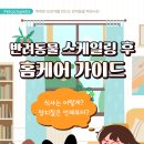 행복한홈케어 이미지