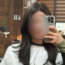 뽀짝뽀짝 애견 미용실 | 전주 객사 레이어드컷 잘하는 곳 커넥션 미용실 추천