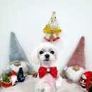 몽개몽개 이미지