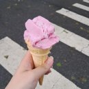 스타빅푸드