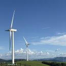 대관령 하루 이미지