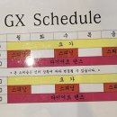 엘사우나헬스 이미지