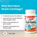 카포리아 뉴트리돔 상어연골(Shark Cartilage)*2병 이미지