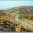 샘재로 1 이미지