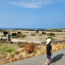 코난비치 이미지