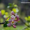 의료법인 실로암의료복지재단 | 양주요양원 의료법인실로암의료복지재단 믿을 수 있는 돌봄 서비스