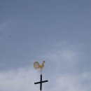 지붕위의닭